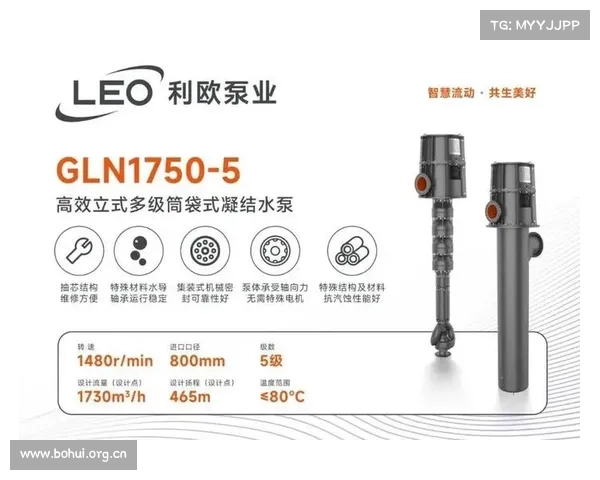 利欧泵业中标国能博州2×660MW煤电项目凝结水泵 利欧泵业中标国能博州2×660MW煤电项目凝结水泵